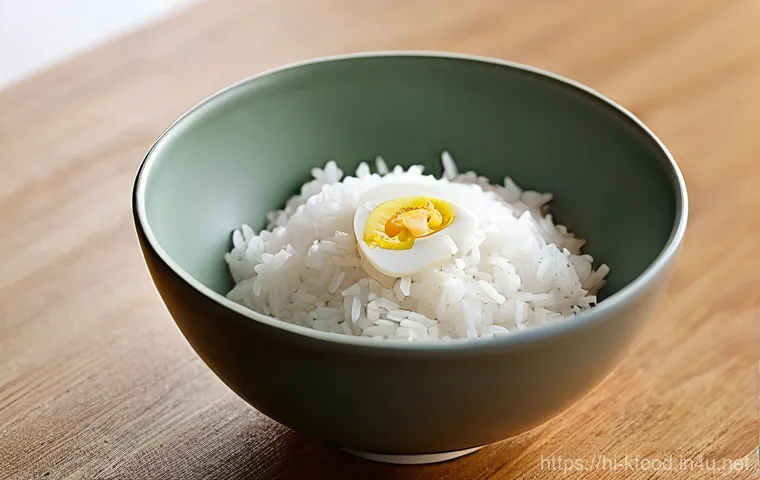 한식 즉석밥 종류와 비교 - **Prompt 1: The Delight of First Instant Rice Experience**
    A warmly lit, inviting kitchen scene....